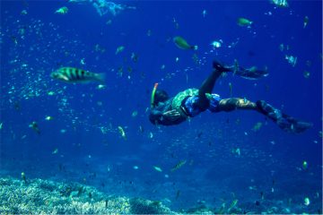 snorkeling-in-the-tropical-water-2021-08-30-15-12-50-utc.jpg